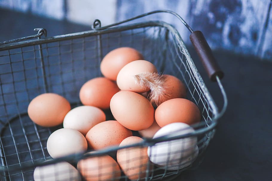 Eggs in the Metal Basket, blur, cholesterol, close-up, container HD wallpaper