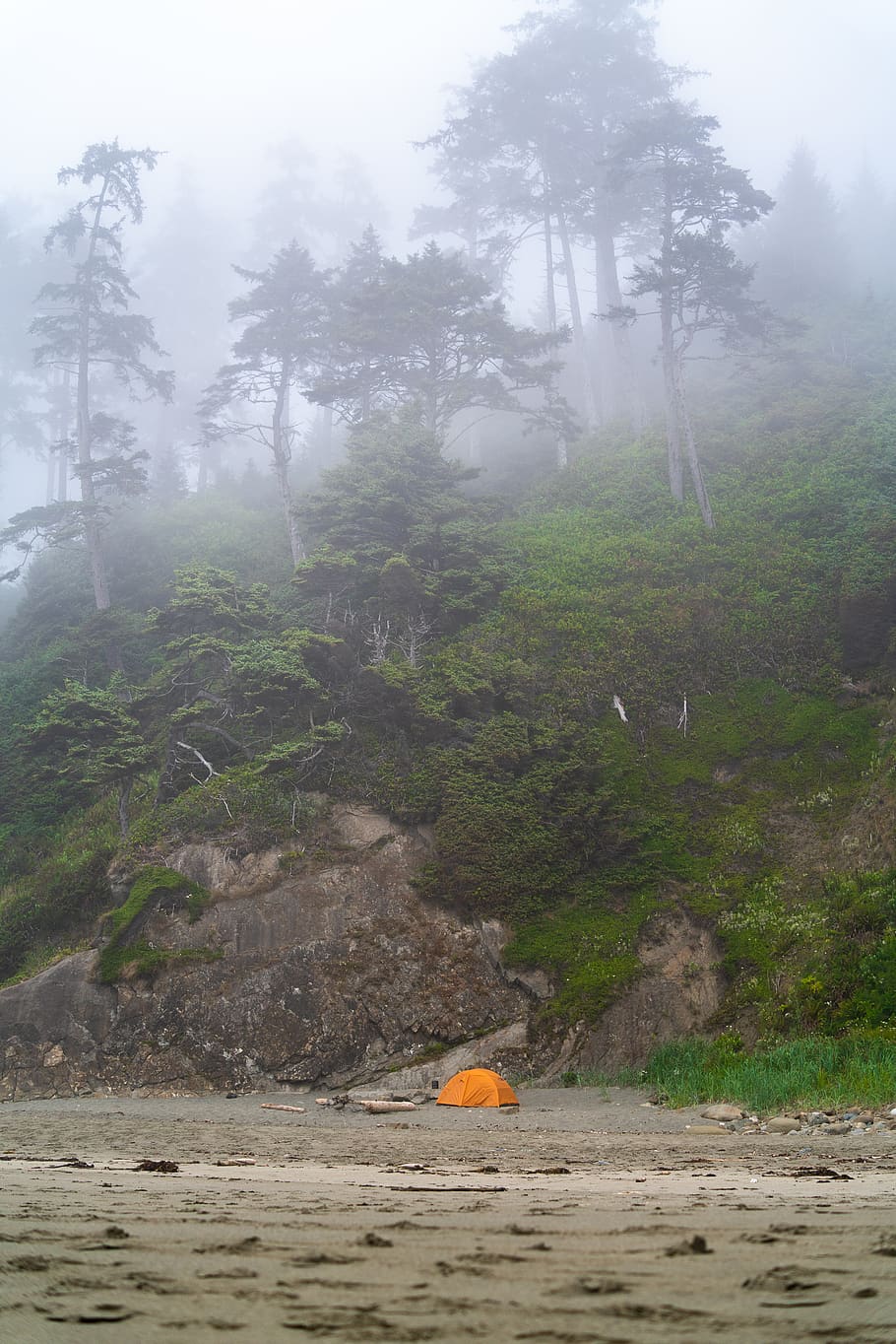 camping, forest, shi shi, beach, tent, camp site, fog, north west HD wallpaper
