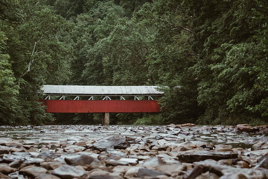 red and white bridge over rocky river near green trees, plant, HD wallpaper