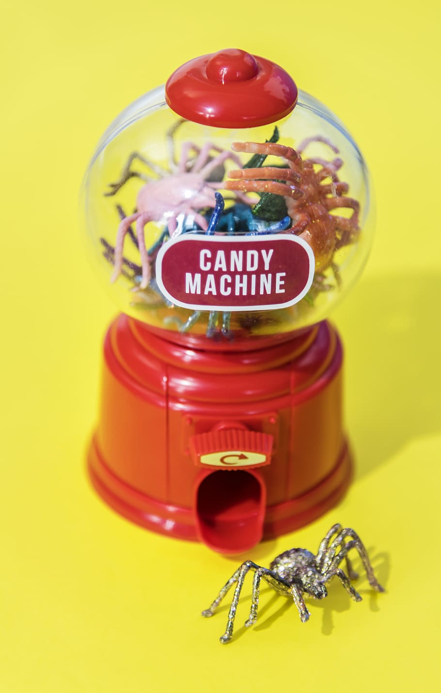 bug, candy, candy machine, colorful, decoration, insect, pop HD wallpaper
