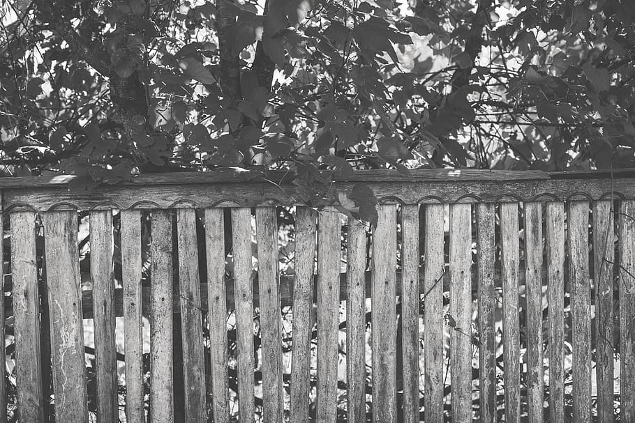 fence, coutryside, romania, boundary, barrier, plant, wood - material HD wallpaper