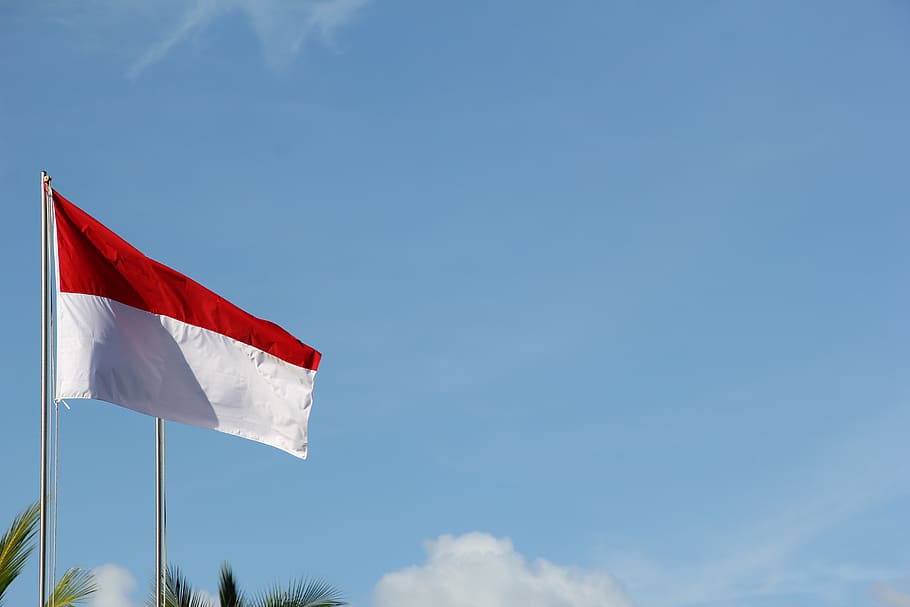 red and white flag under blue sky during daytime, emblem, pole