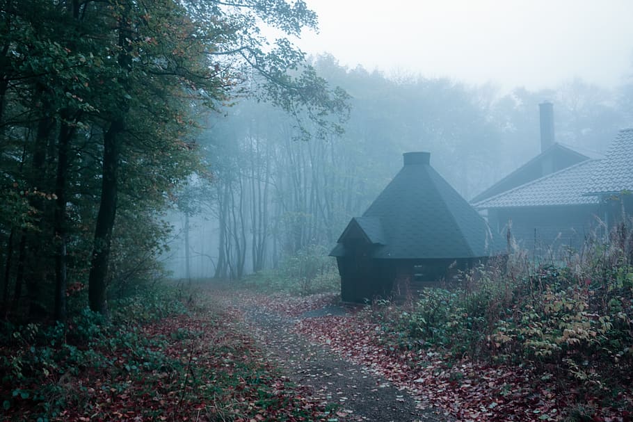 HD wallpaper: germany, frankfurt, mist, misty, cold, house, spooky ...