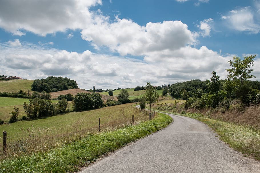 Asphalt Road Between Green Grass, fields, landscape, way, plant HD wallpaper