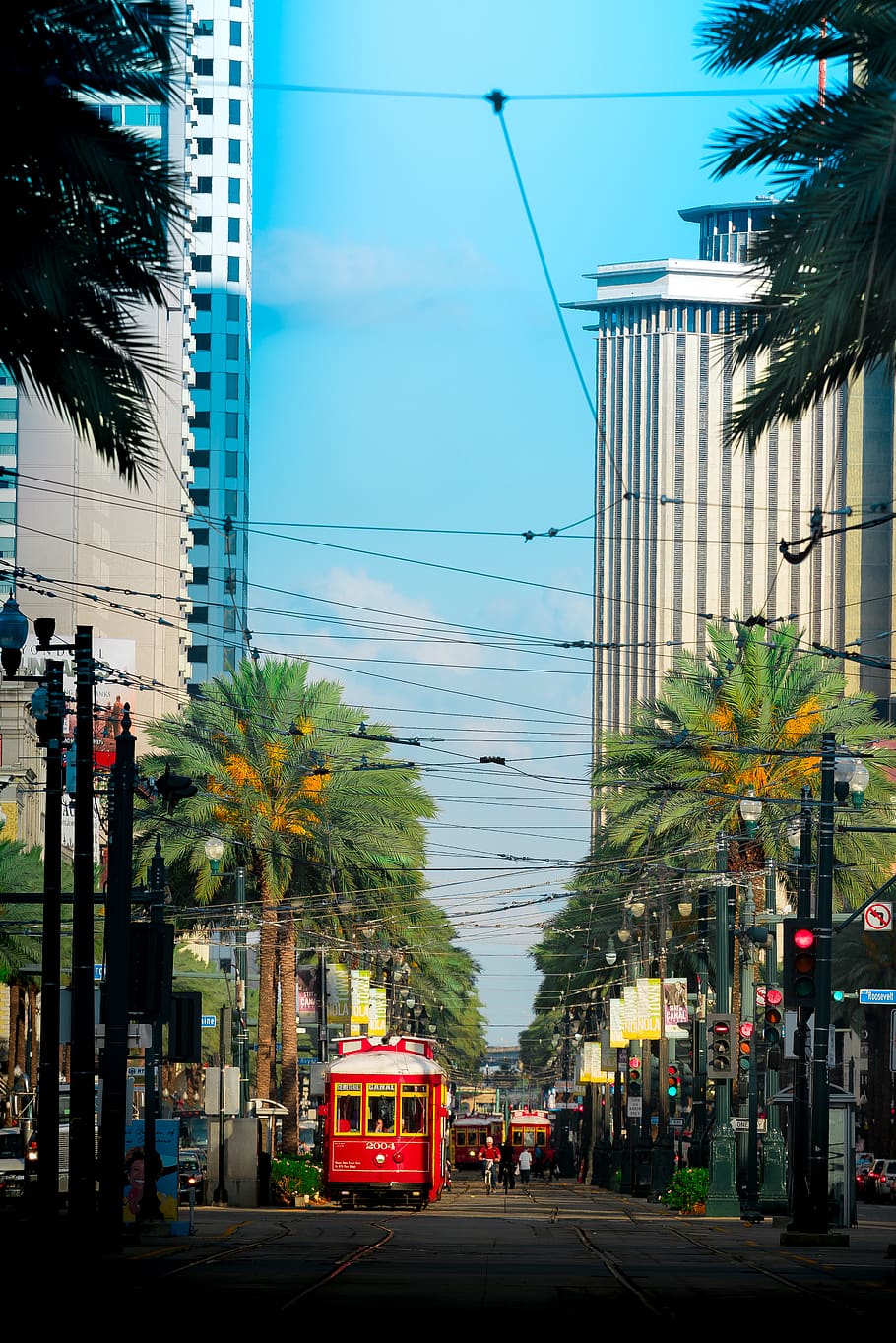 new orleans, united states, palmtrees, urban, city, canal st, HD wallpaper