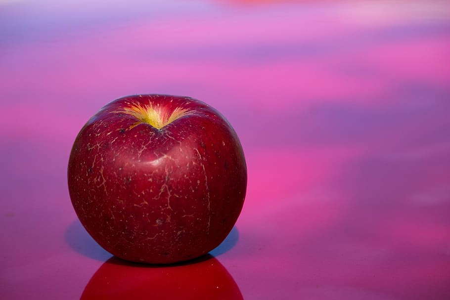 apple, fruit, red apple, autumn, autumn colours, healthy, healthy food HD wallpaper