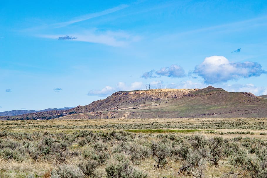 Photography of Grass Across Hill, bush, clouds, daylight, grassland HD wallpaper