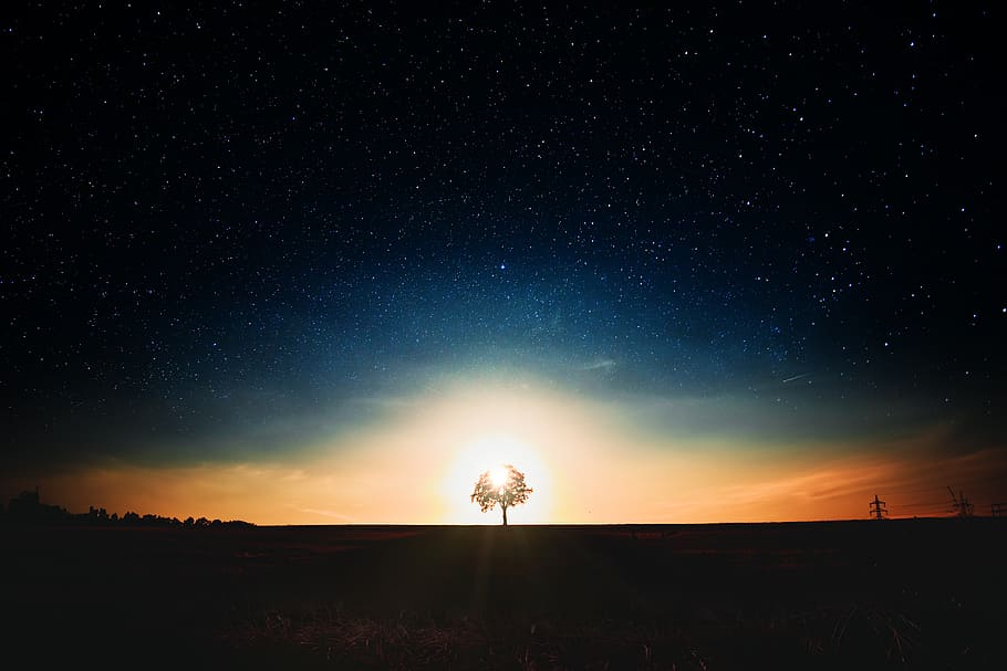 landscape, tree, sunset, star, beautiful, nature, rest, still HD wallpaper
