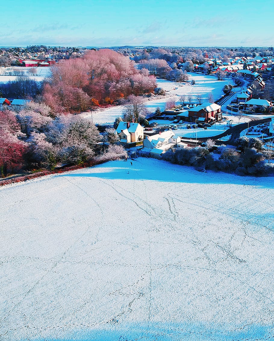 trees, winter, rural, snow, ice, above, drone, dji, landscape HD wallpaper