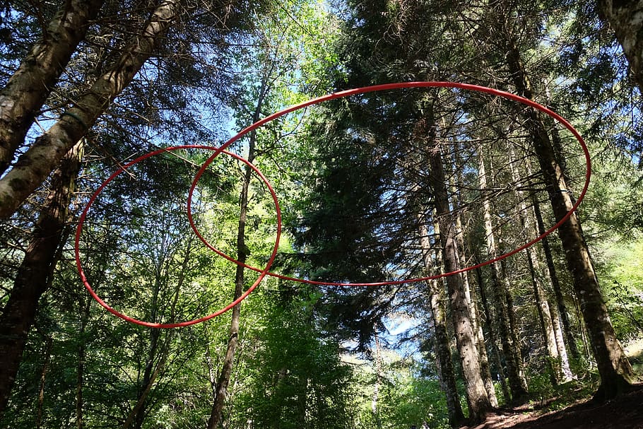 trees, art, circles, plant, nature, day, low angle view, outdoors HD wallpaper