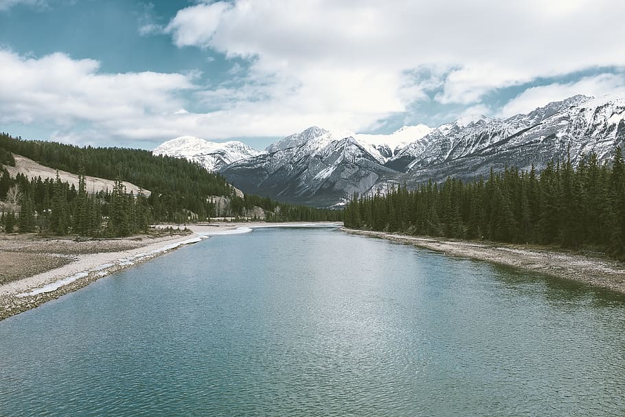 river lined with pine trees at daytime, beauty in nature, mountain HD wallpaper