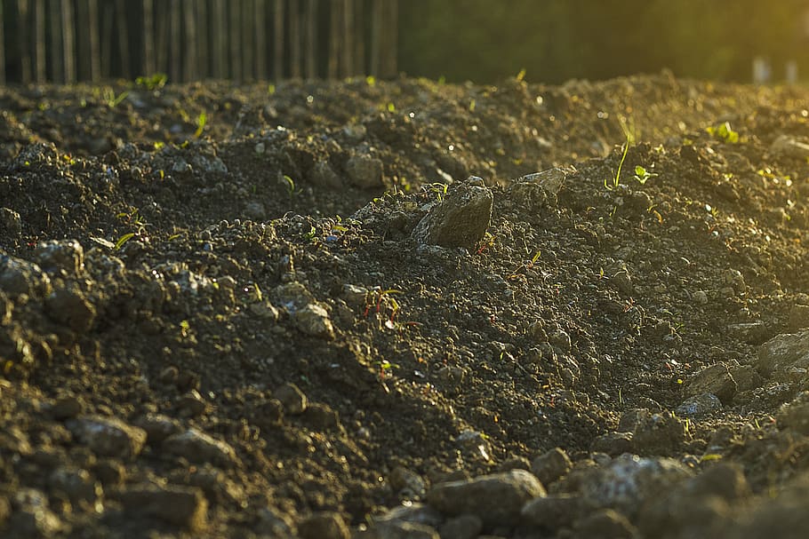 soil, solid, no people, rock, nature, rock - object, day, textured HD wallpaper