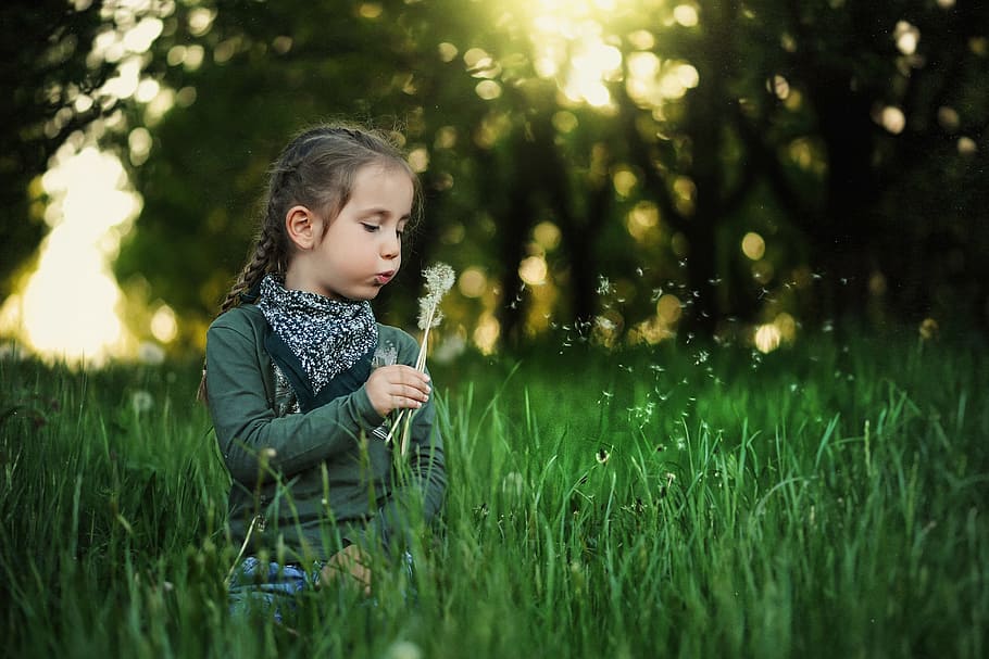 Child in Grass, people, children, family, kid, kids, mom, mother, HD wallpaper