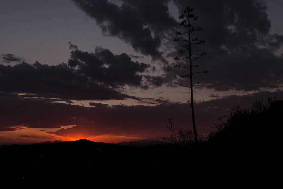 tree, silhouette, sun, sunset, clouds, sky, dark, colours, orange HD wallpaper