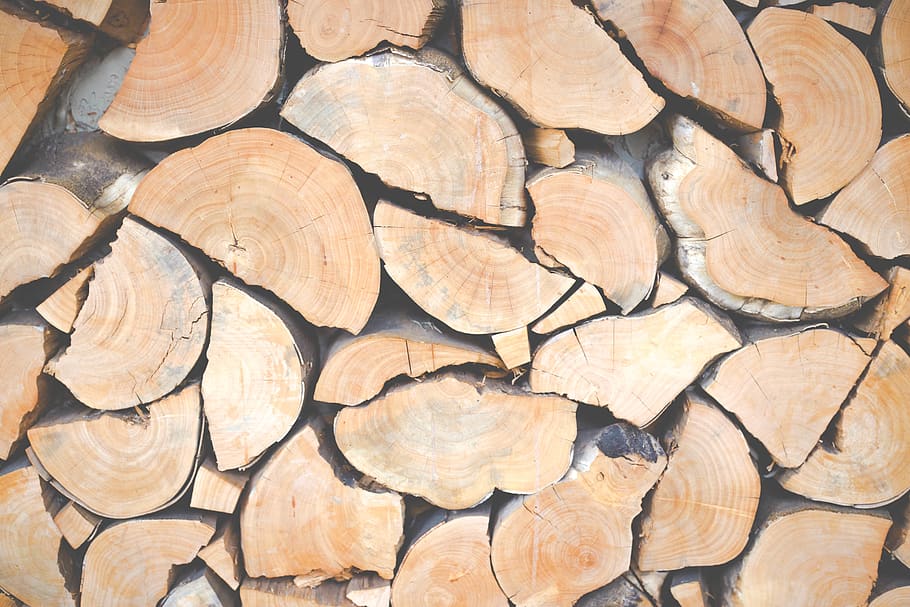 firewood lot, lumber, united states, los angeles, venice beach HD wallpaper