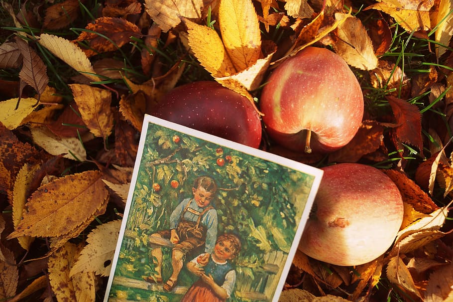 autumn, vintage, retro, leaves, postcard, autumn colours, autumn mood, HD wallpaper