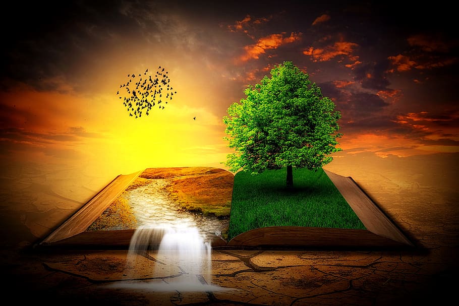 book, landscape, tree, waterfall, birds, dusk, fantasy, sky HD wallpaper
