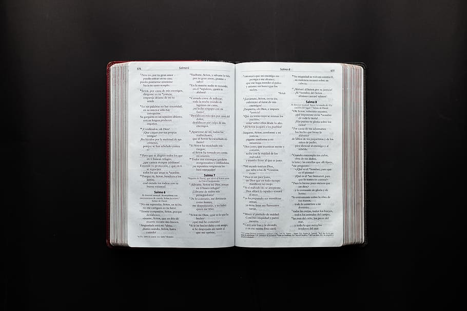 Open Bible, black background, book, book pages, book series, data