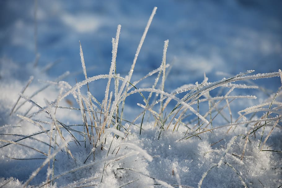 Frosty winter. Зима иней хроомокей. Frostbite Winter. Зимний Фрост.