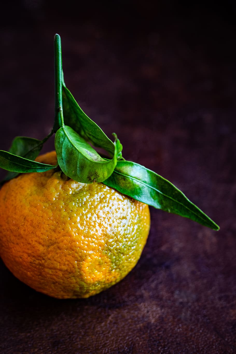orange fruit, food, citrus fruit, plant, produce, grapefruit HD wallpaper