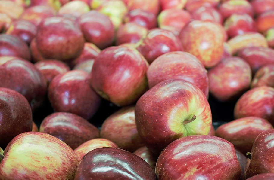 apples, red, fruit, food, edible, juicy, food and drink, healthy eating HD wallpaper