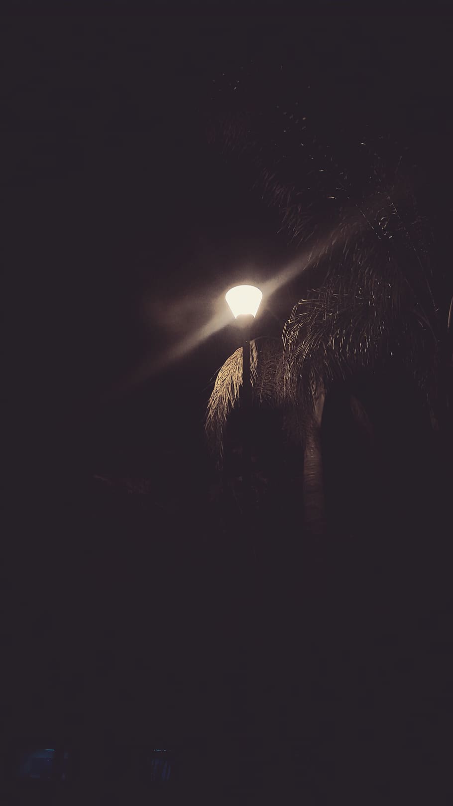 night, illuminated, dark, no people, nature, sky, copy space HD wallpaper