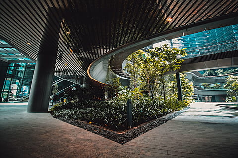 trees under building inside, singapore, marina one office, architecture HD wallpaper