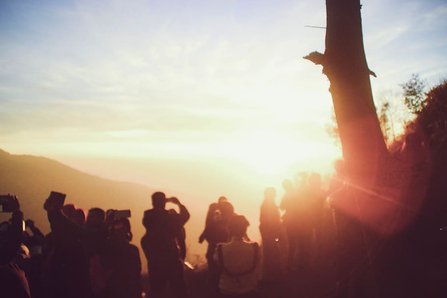 indonesia, bukit sikunir, mountain, sun, forest, sunrise, goldensunrise, HD wallpaper
