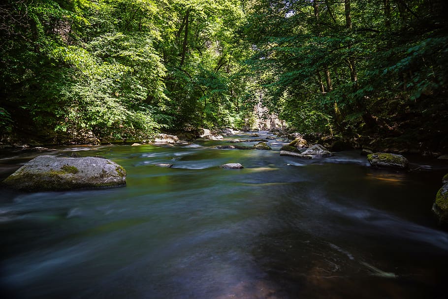 river, bach, waters, landscape, nature, forest, scenic, rock HD wallpaper