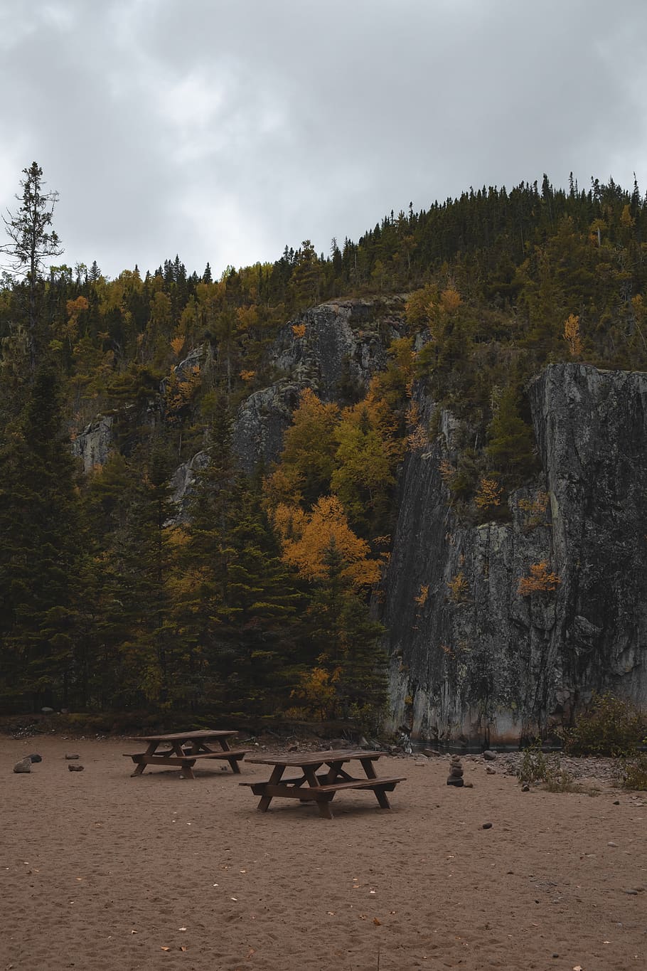 canada, clermont, wild, camping, mountain, tree, nature, plant HD wallpaper