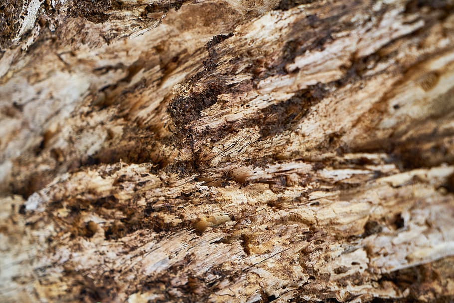 wood, timber, texture, tree, pattern, old, carpentry, natural HD wallpaper