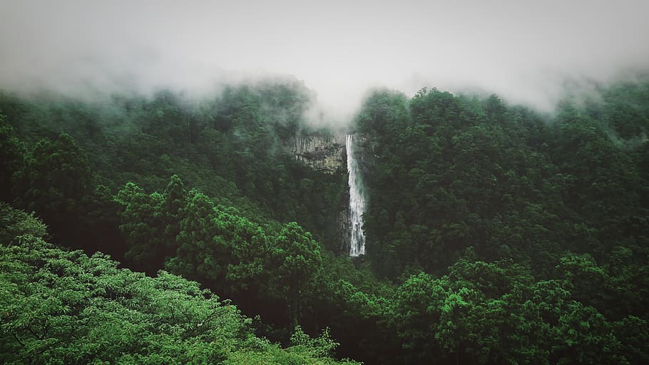 waterfall, nature, river, outdoors, japan, nachi falls, grey, HD wallpaper