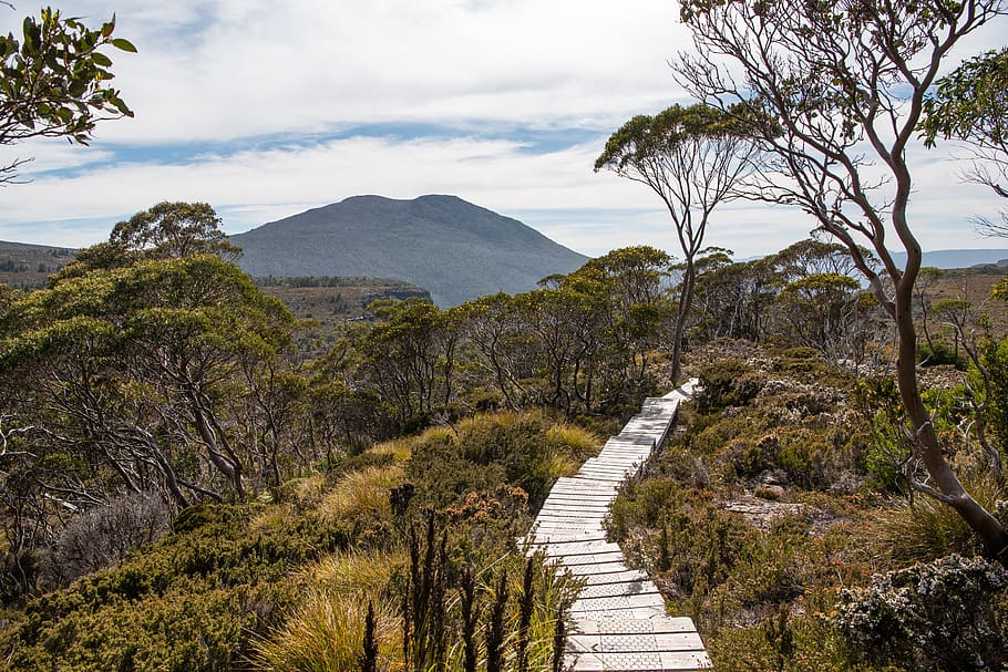 overland track, tasmania, wilderness, nature, landscape, outdoors, HD wallpaper