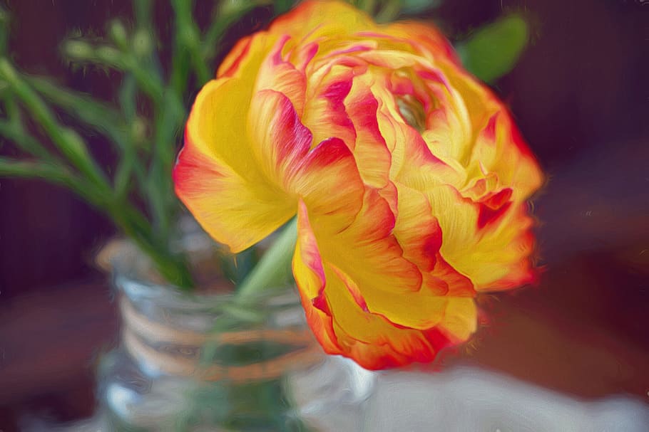 painting, art, flower, color, flowering plant, beauty in nature HD wallpaper