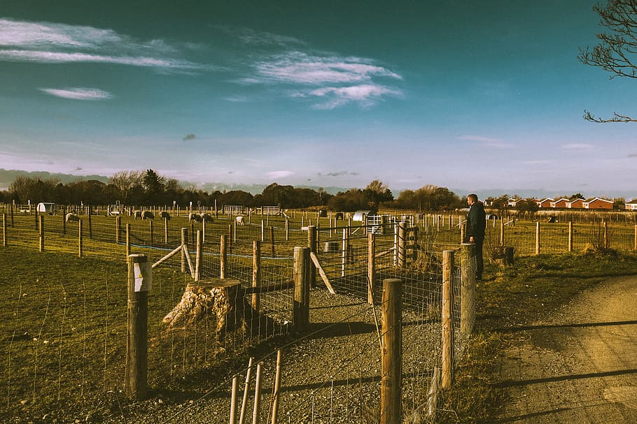 Man Standing in Front of Fences, animals, clouds, daylight, farm HD wallpaper