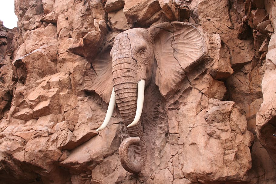 nature, rock, south africa, stone, elephant, art, lost city