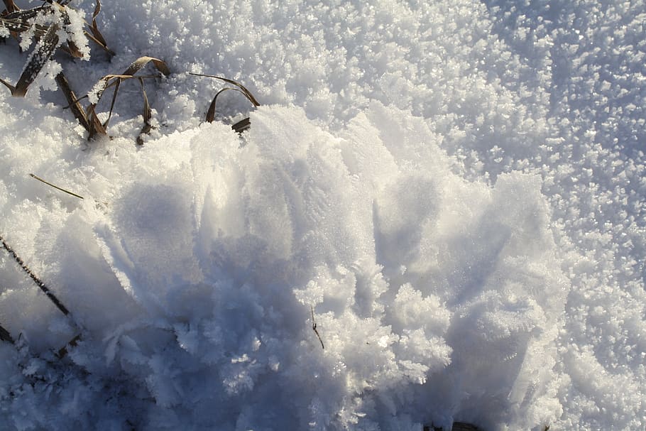 winter, ice, snow, nature, beautiful, frost, light, frozen HD wallpaper