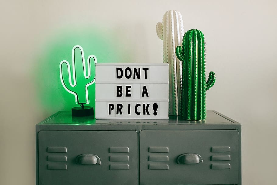 assorted cactus decors on file cabinet, text, green color, communication HD wallpaper