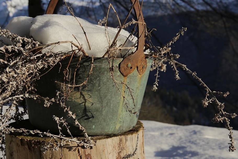 plant, rust, winter, snow, wood, copper pot, garden, tree, outdoors, HD wallpaper