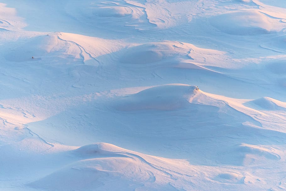 snow field during daytime, landscape, environment, beauty in nature HD wallpaper