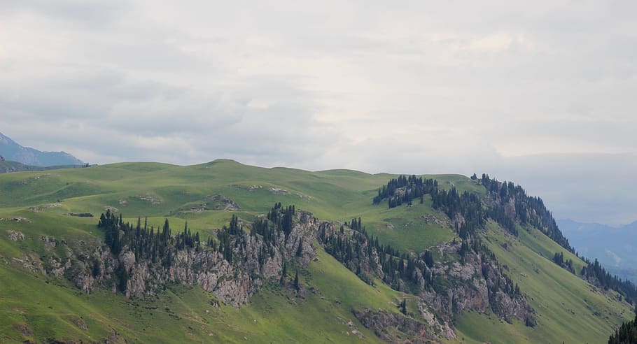 mountain, trees, nature, grass, sky, environment, scenics - nature HD wallpaper