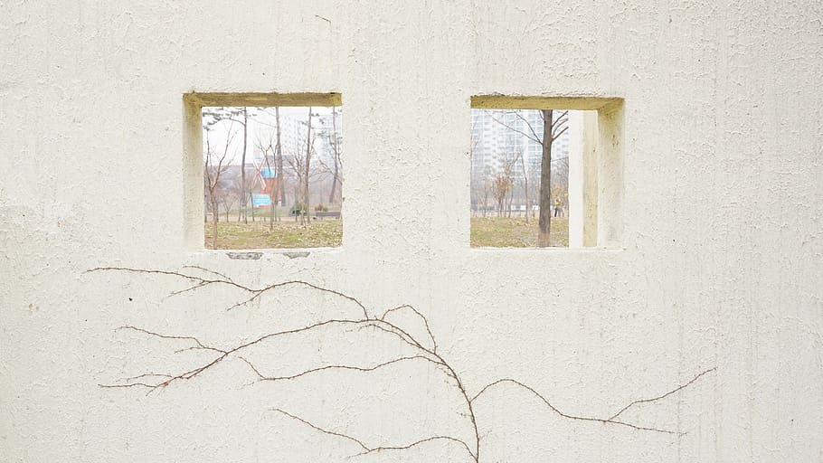 walls, windows, plants, texture, architecture, built structure HD wallpaper