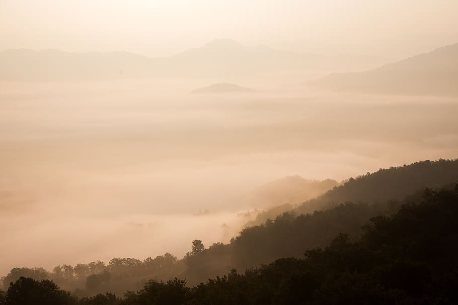 sky, fog, clouds, mountains, trees, scenics - nature, beauty in nature HD wallpaper