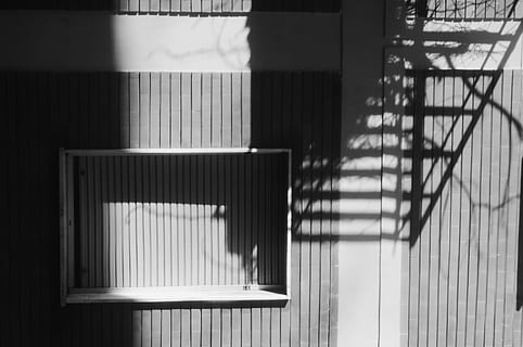 closed white roller shutter, home decor, window, curtain, nature HD wallpaper