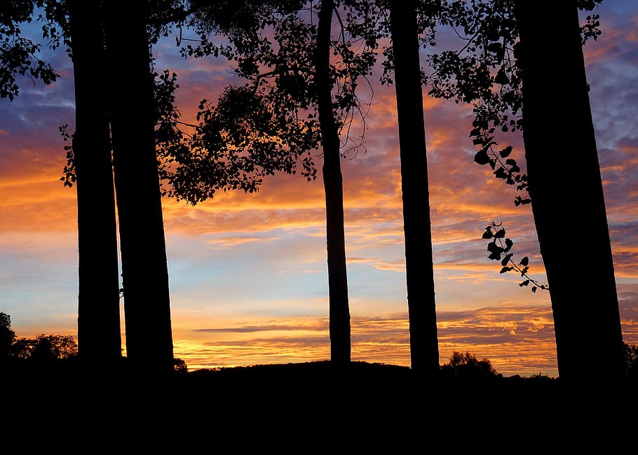 landscape, sunset, nature, evening, twilight, trees, sky, orange HD wallpaper