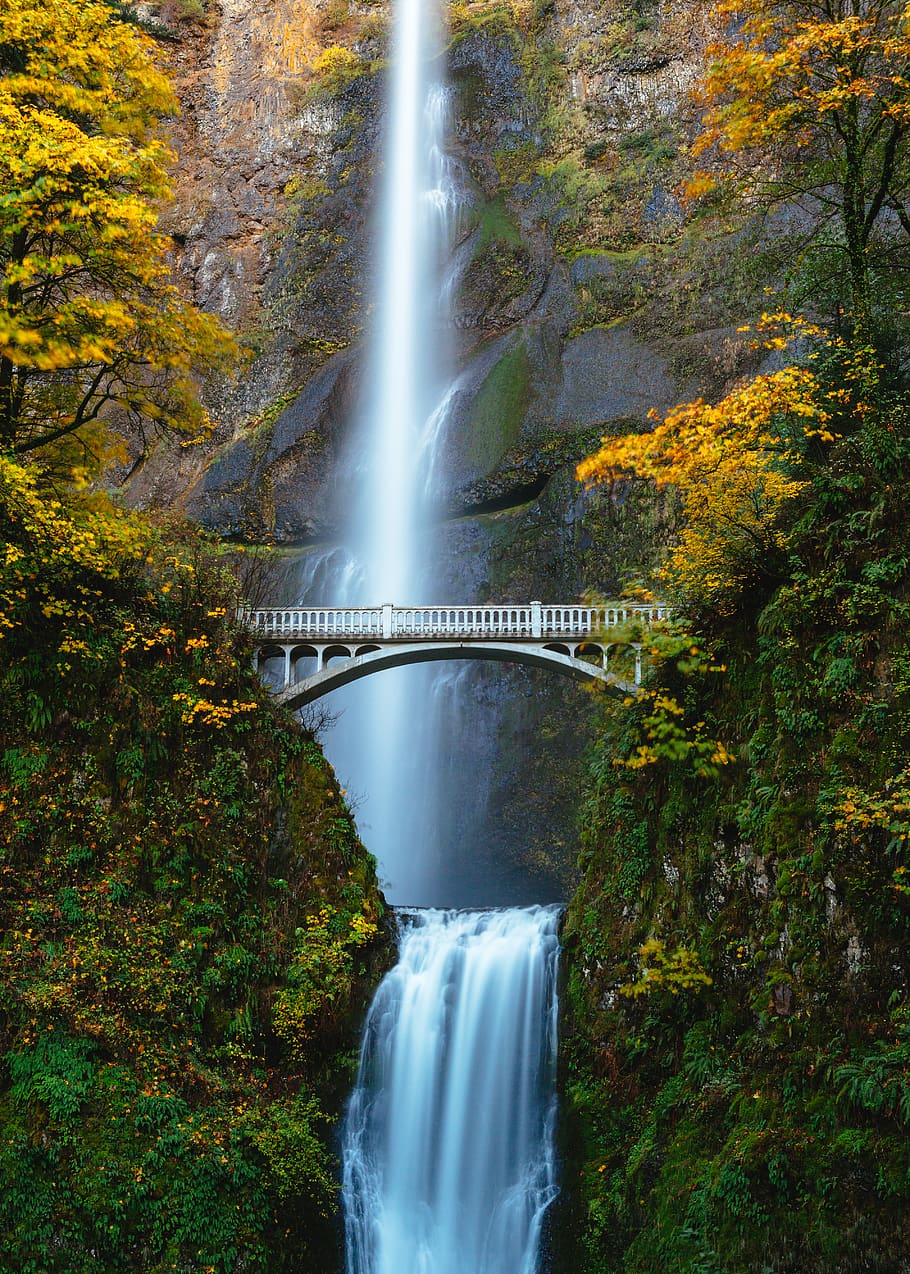 bridge in between trees, scenics - nature, water, waterfall, long exposure HD wallpaper