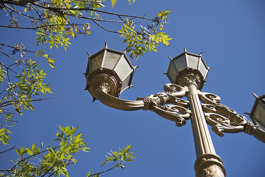 lantern, sky, branches, holas, tree, silhouette, architecture HD wallpaper