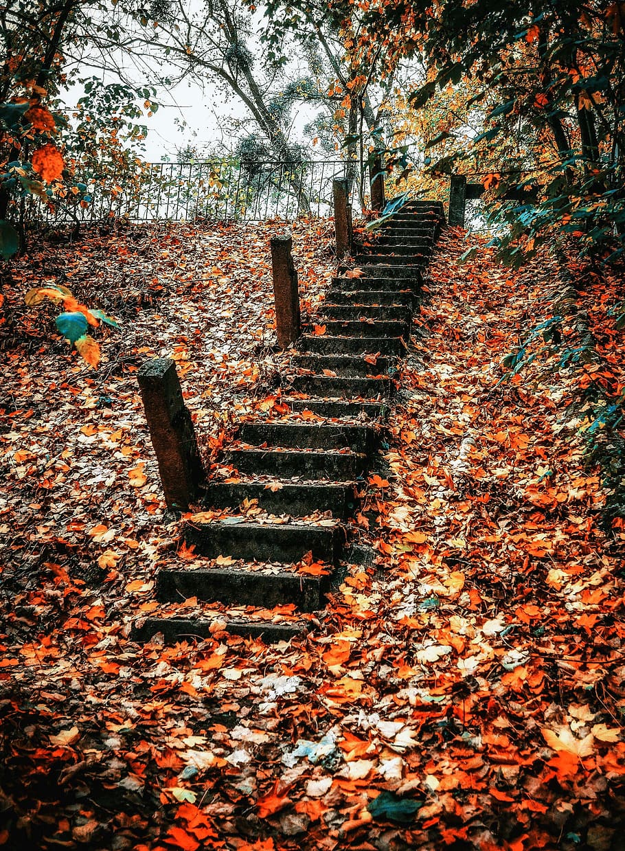 old, stairs, architecture, stone, railing, gradually, historically HD wallpaper