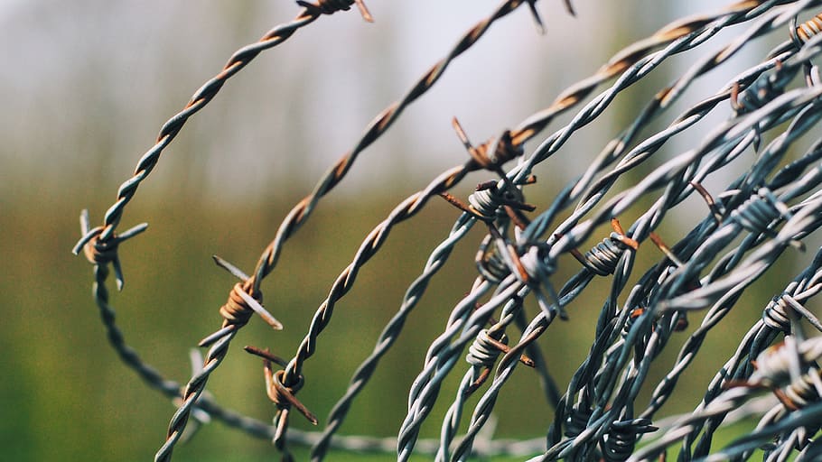 Close-Up Photography of Barbed Wire, blur, depth of field, fence, HD wallpaper