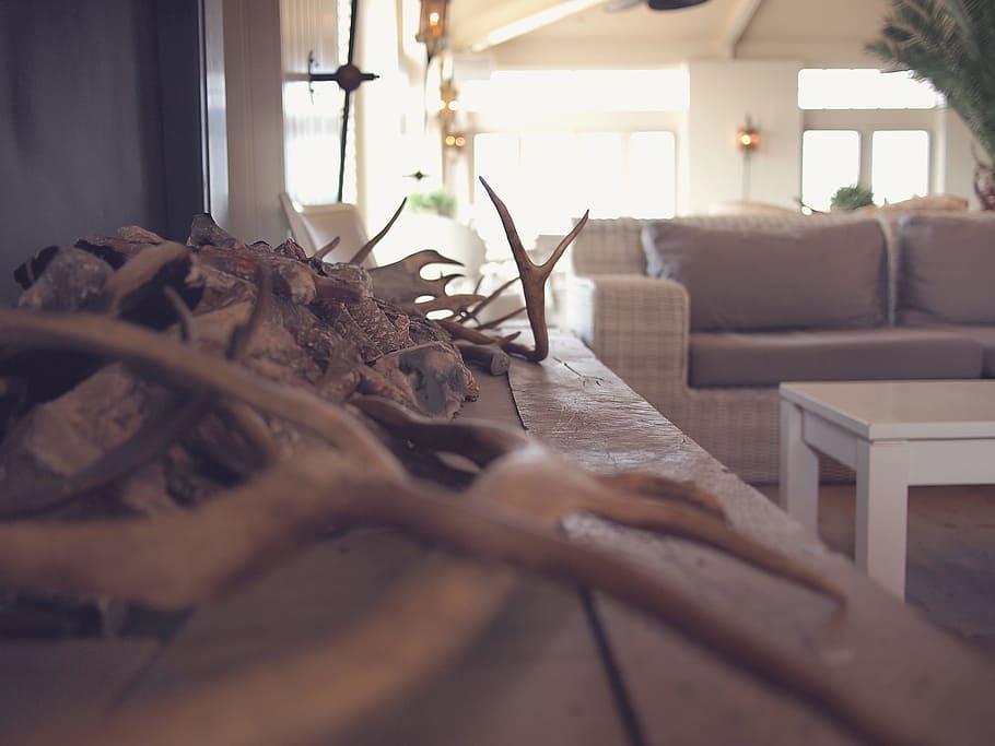 house, interior, design, decor, couch, sofa, table, wood, indoors HD wallpaper
